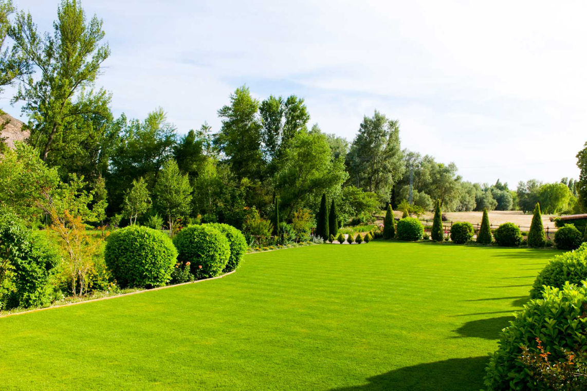 Rifacimento giardini rimini